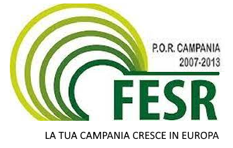 fesr